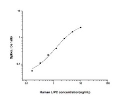 Novus Biologicals&trade;&nbsp;Human LIPC ELISA Kit (Colorimetric)